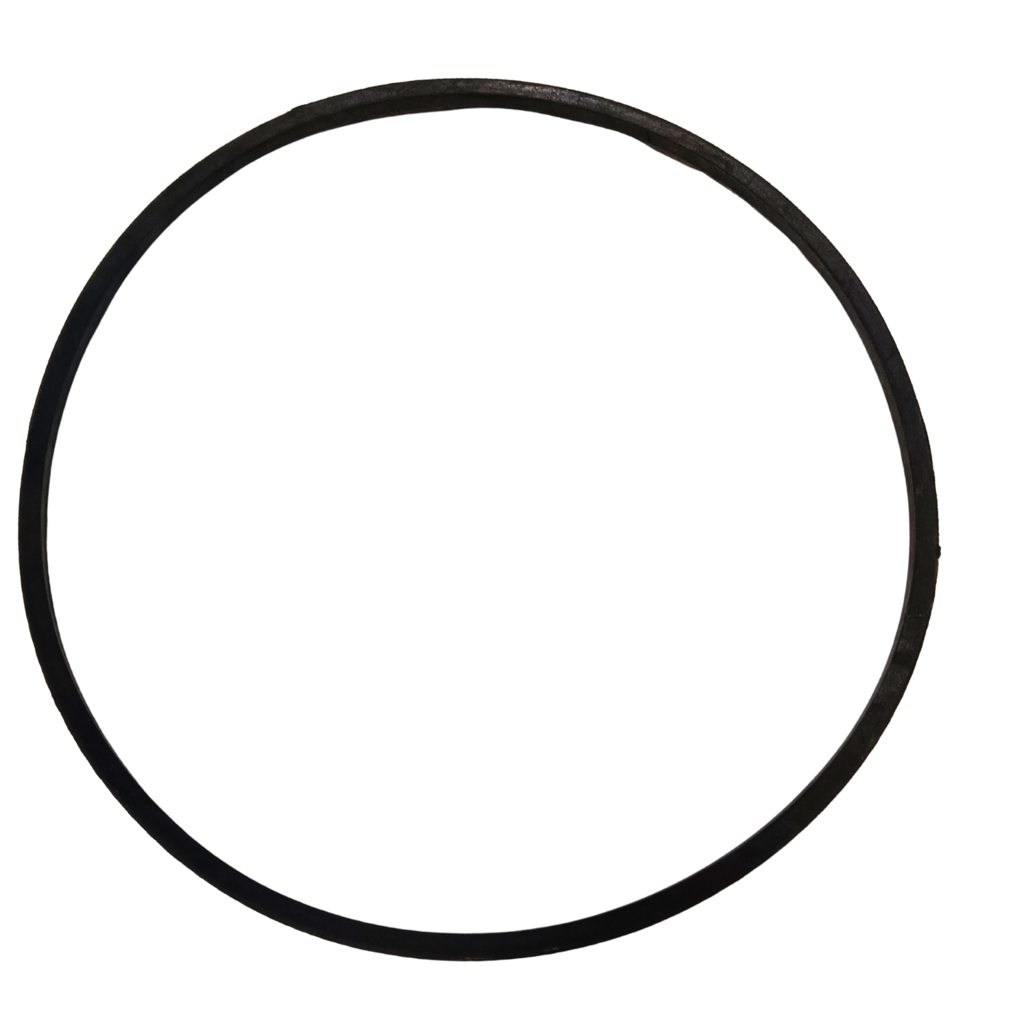Viton High Temperature Casing O-Ring
